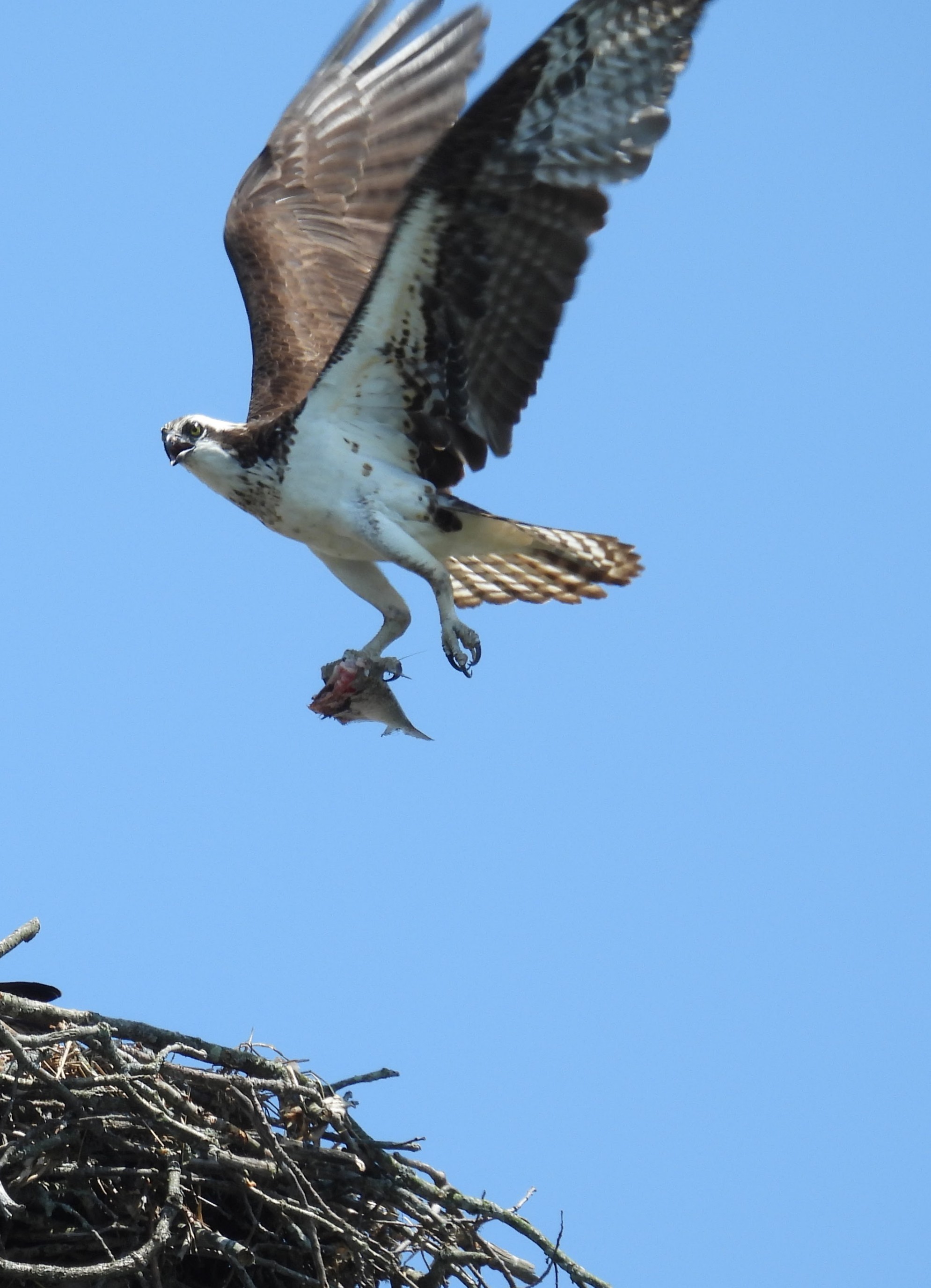 Just checking out the image selector