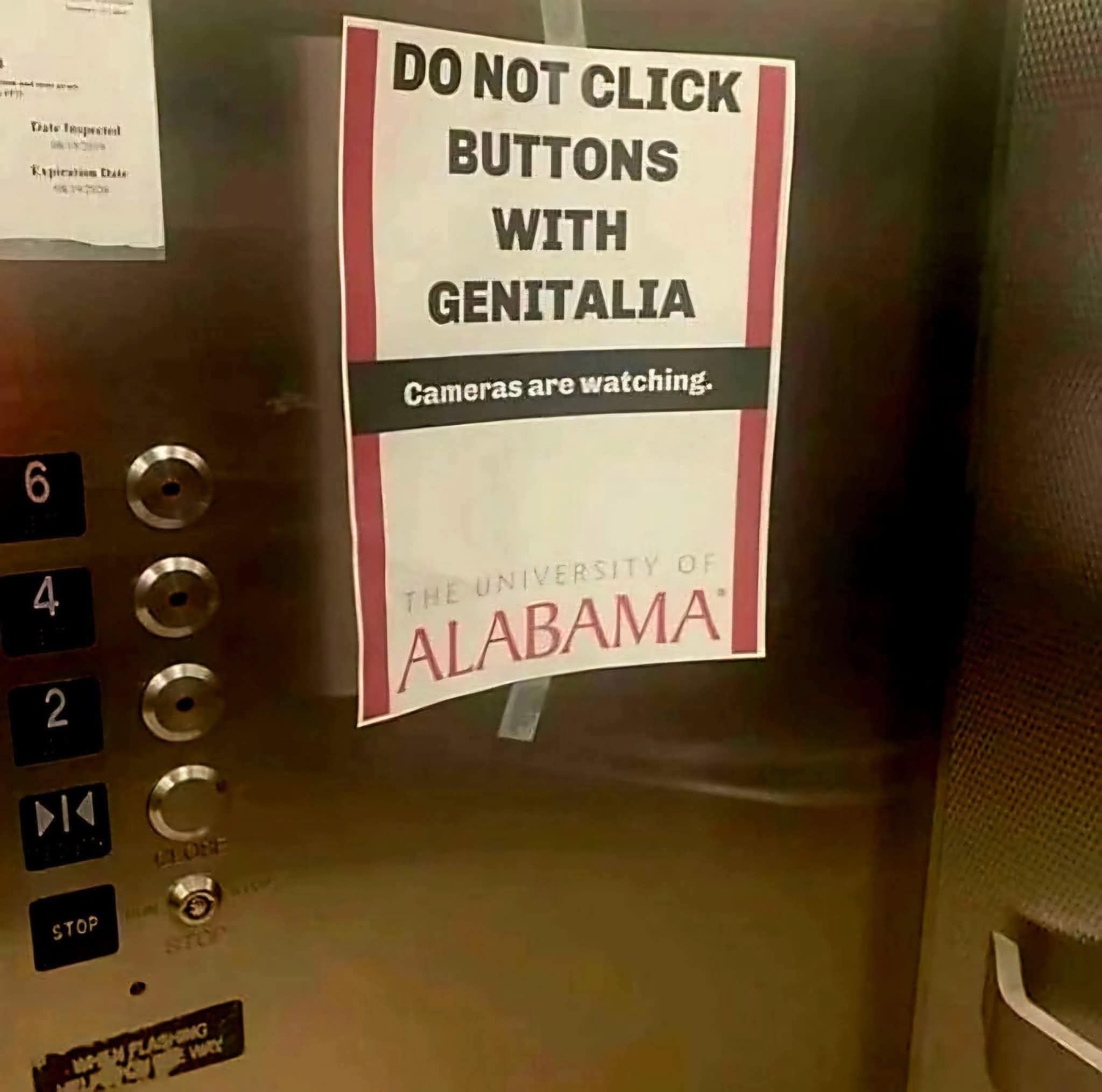 elevatorgenitalia.jpg