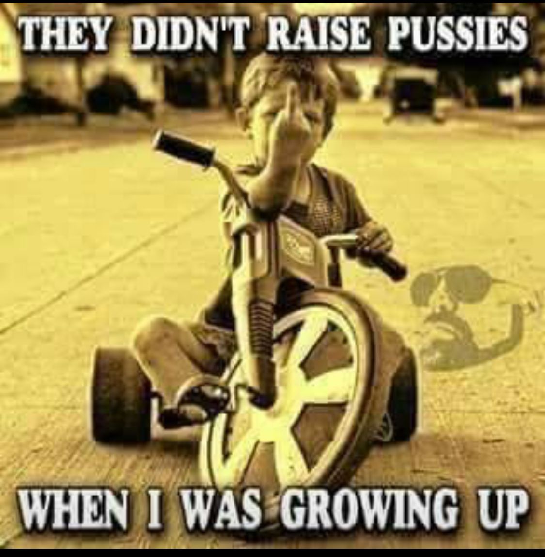 didntraisepussies.jpg