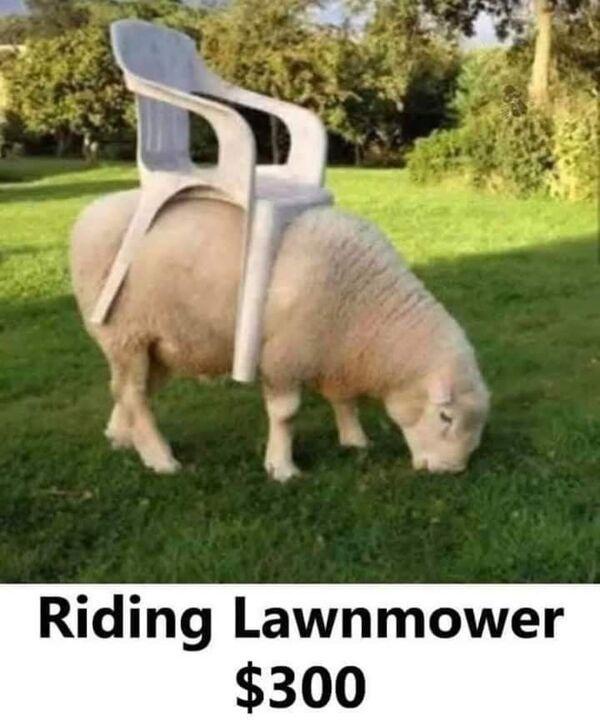 lawnmover.jpeg