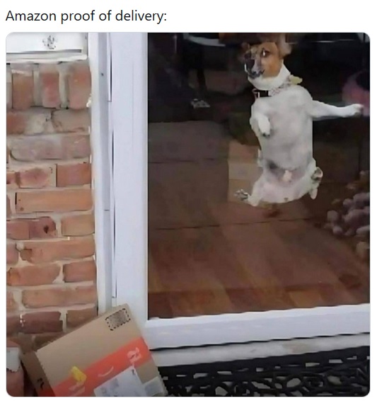 Amazon.jpg