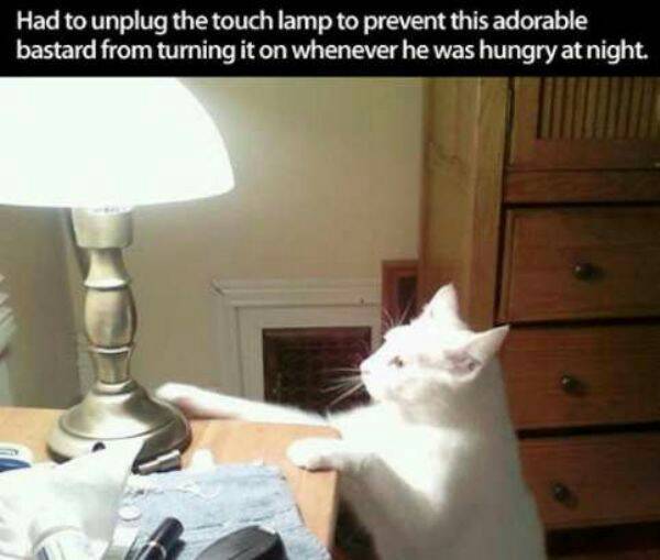 lamp.jpeg