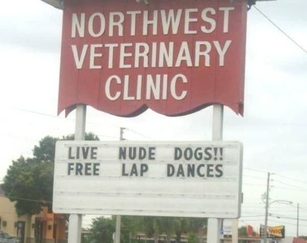 Veteranary-clinic.jpeg