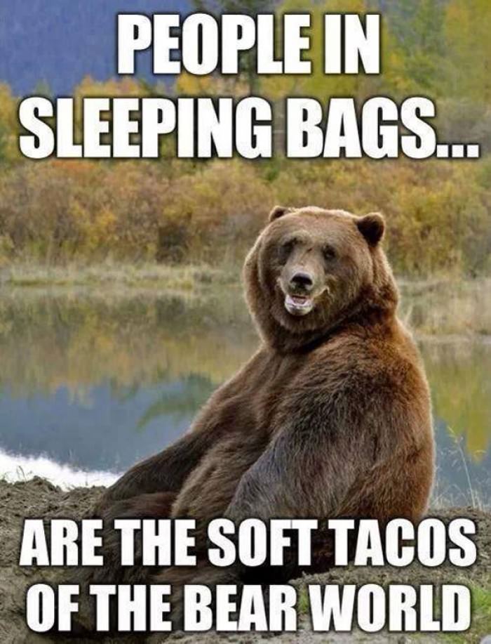 soft-tacos.jpeg