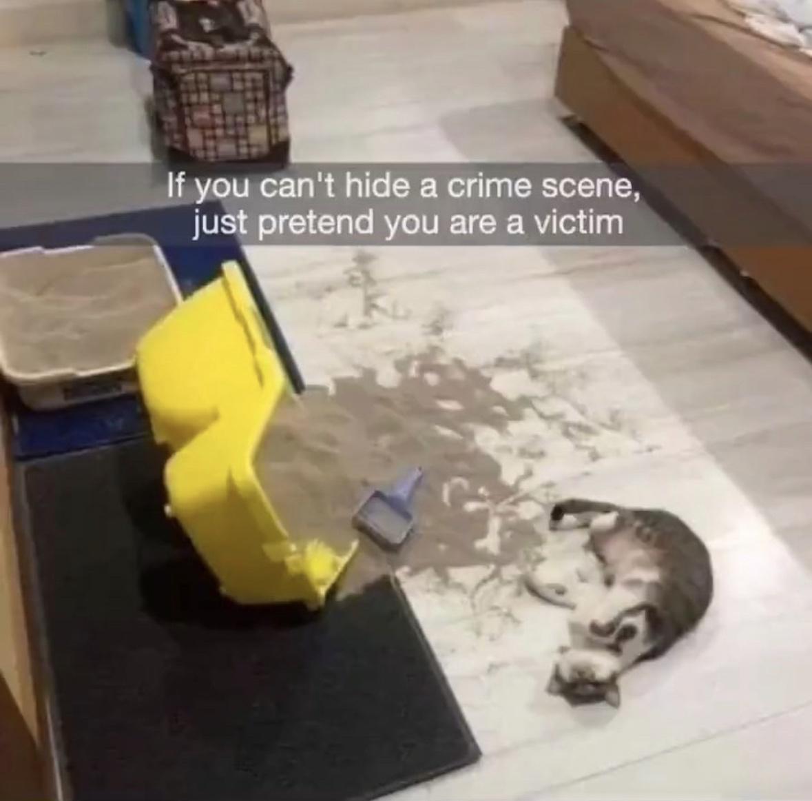 the-crime.jpeg