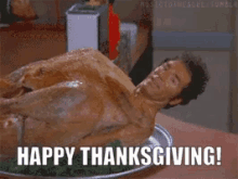 seinfeld-turkey-3360283849.gif