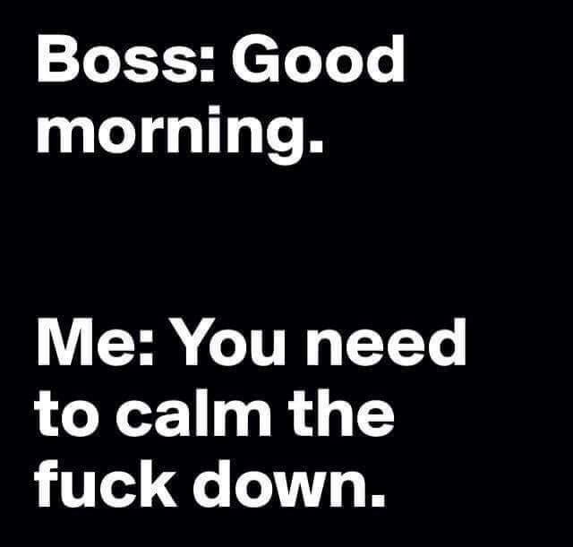 morning-boss.jpeg