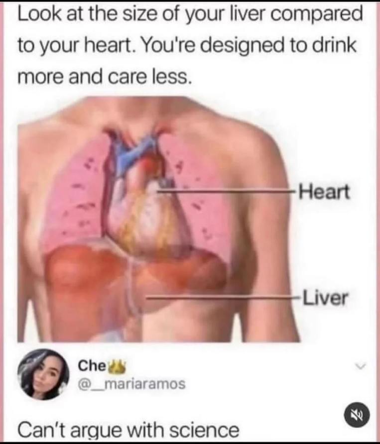 Size-fo-liver.jpeg