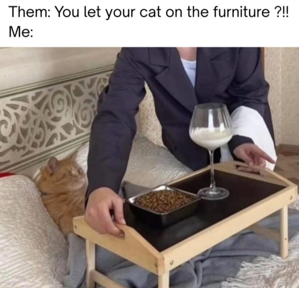 furniture.jpg