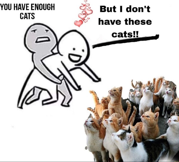 these-cats.jpg