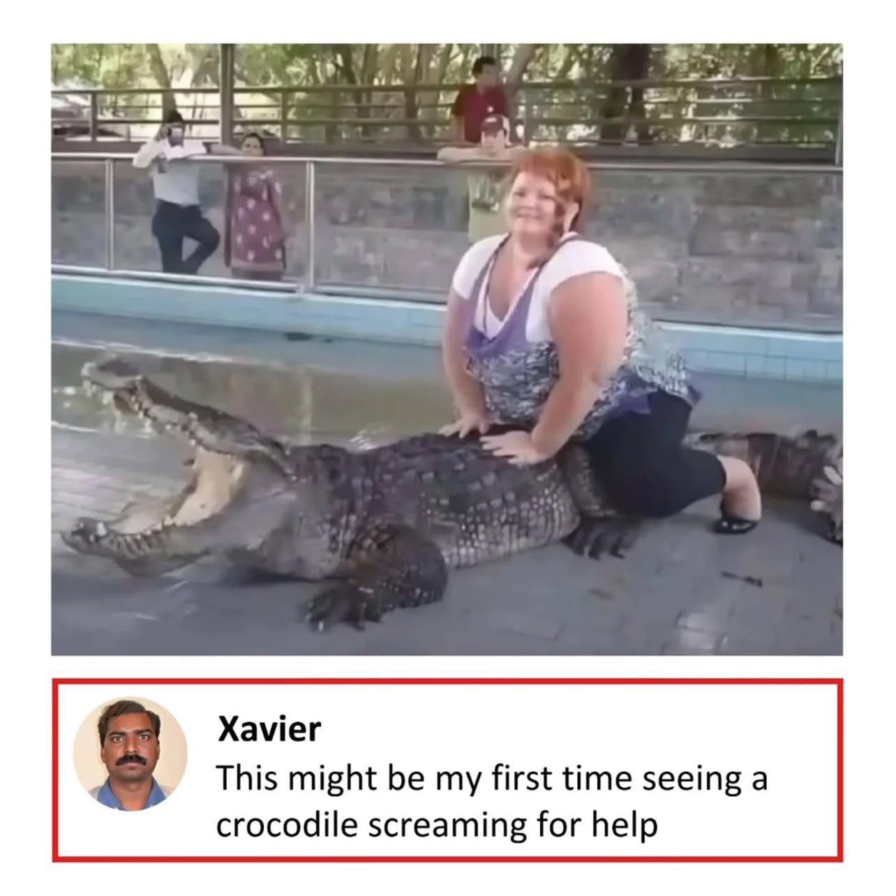 crocodile.jpeg