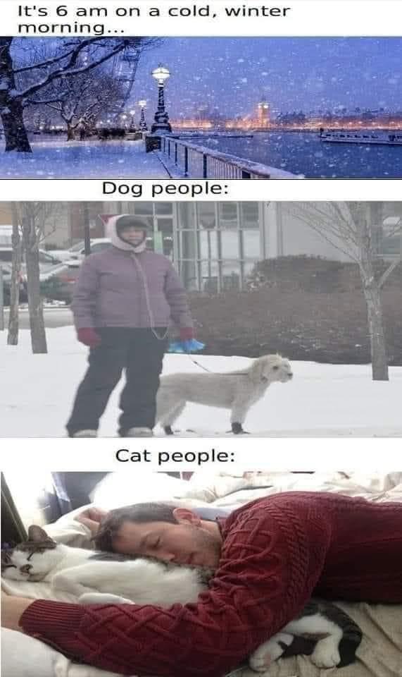 Dog-people.jpeg