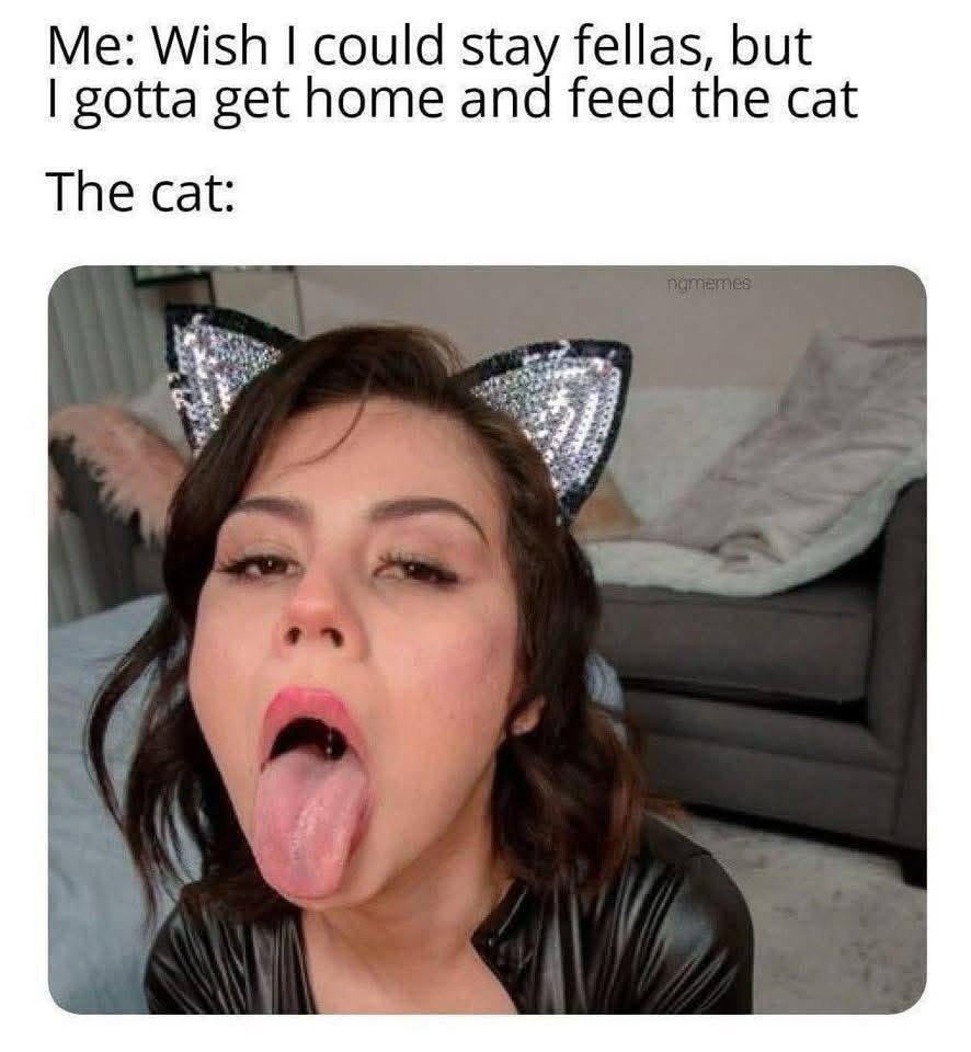 feed-tha-cat.jpeg