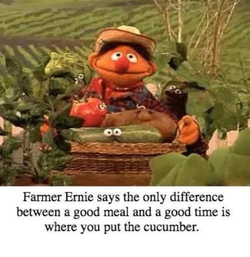 armer-ernie.jpeg