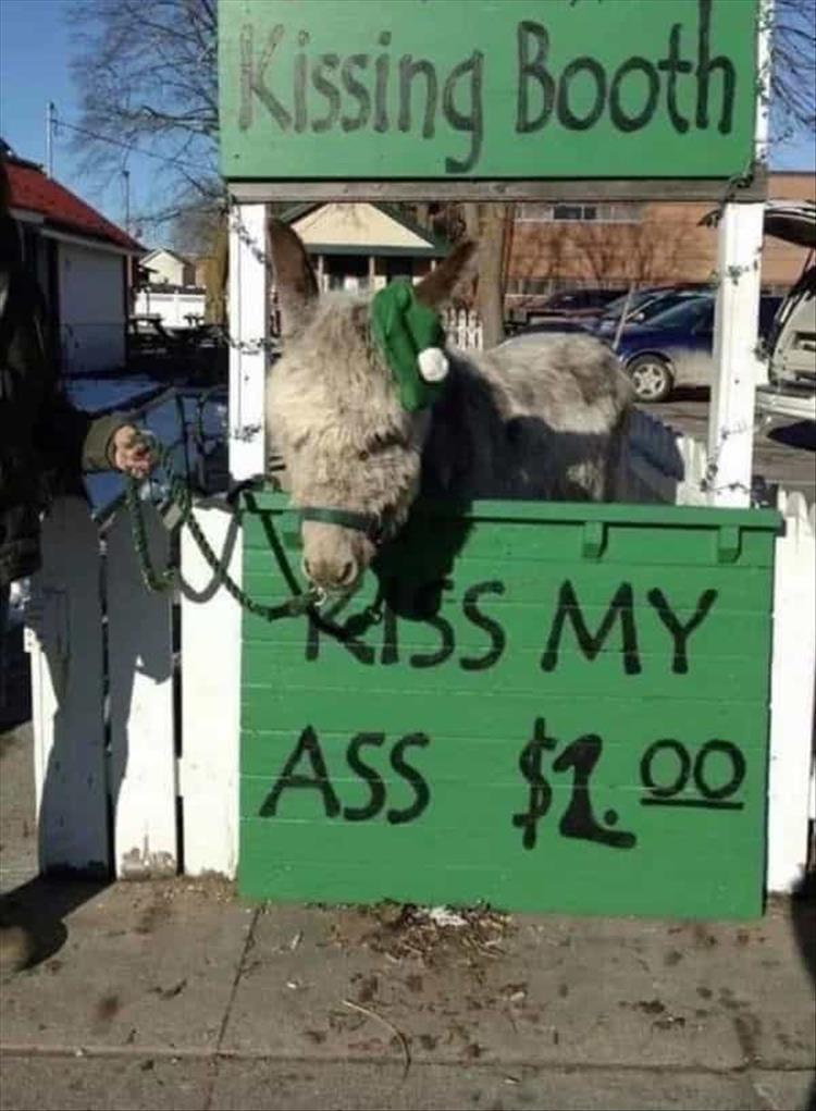 kiss my ass.jpg