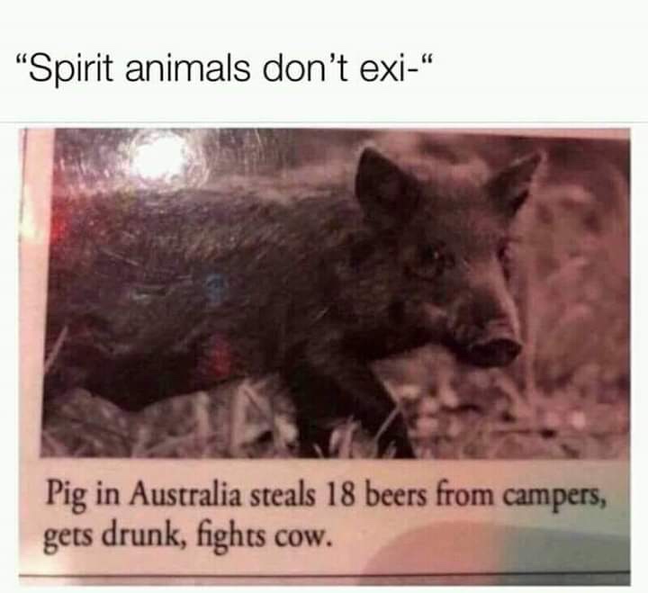 Spirit-animals.jpeg