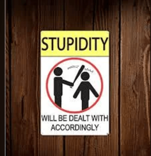 stupidity.png