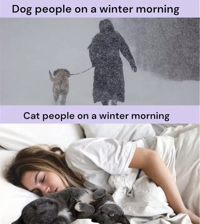 cat-people.jpg