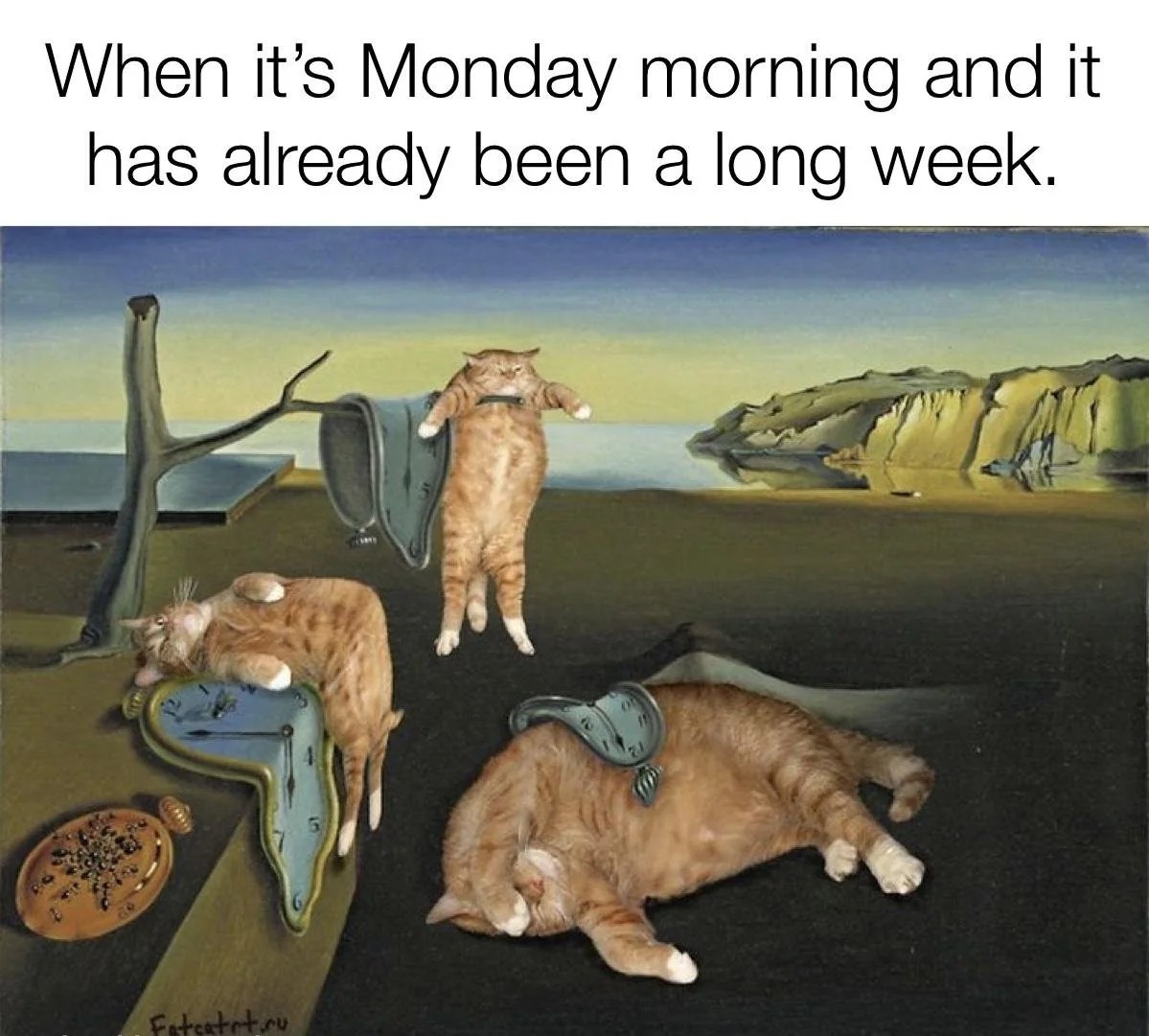 When-its-monday.jpg