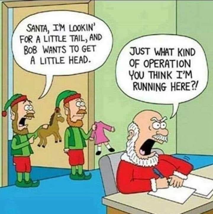 santaelves.jpg