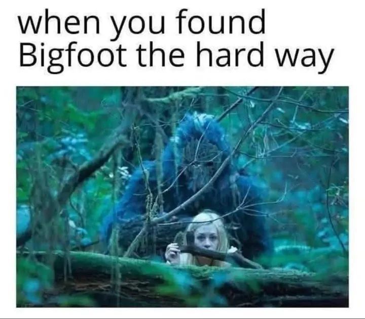Found-bigfoot.jpeg