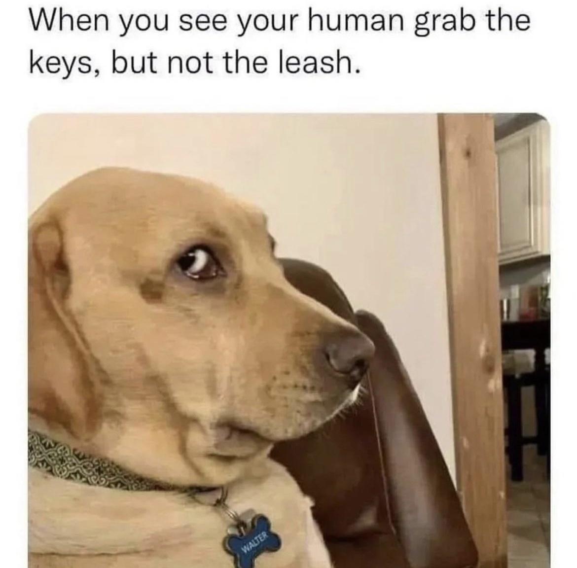 See-your-human.jpeg