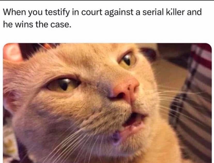 in-court.jpeg
