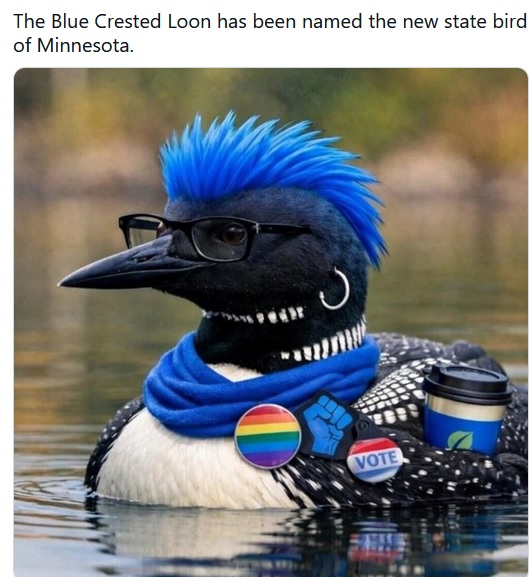 Loon.jpg
