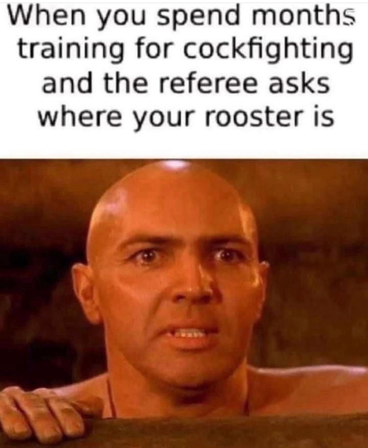 rooster.jpeg