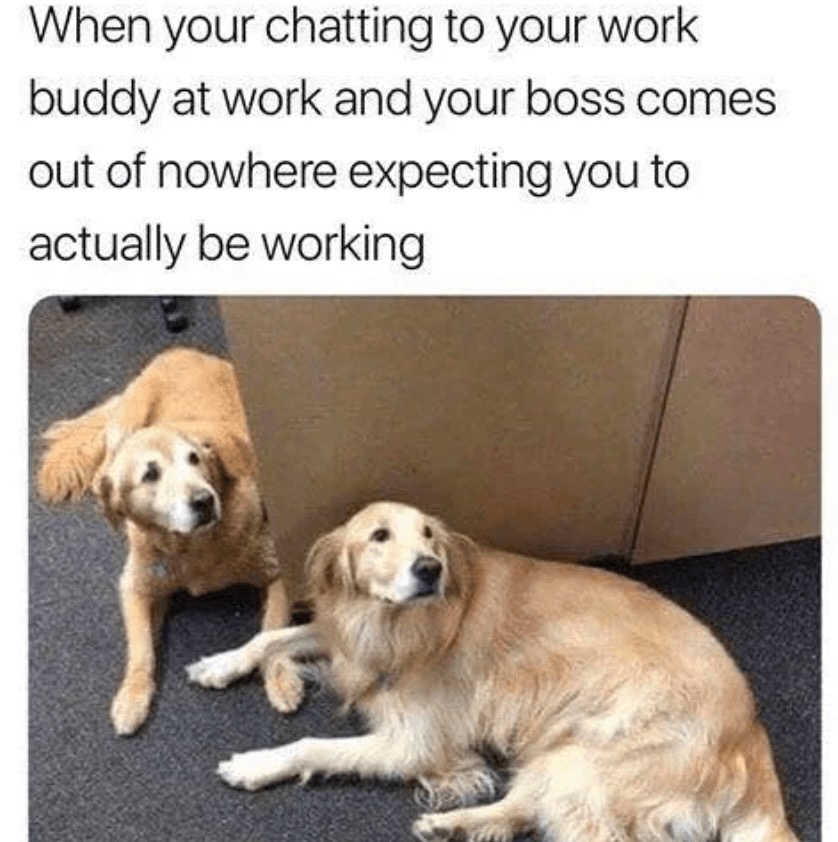 Chatting-at-work.jpeg