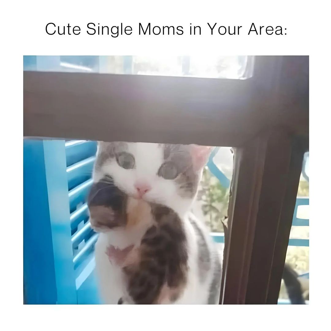 Cute-single.jpg