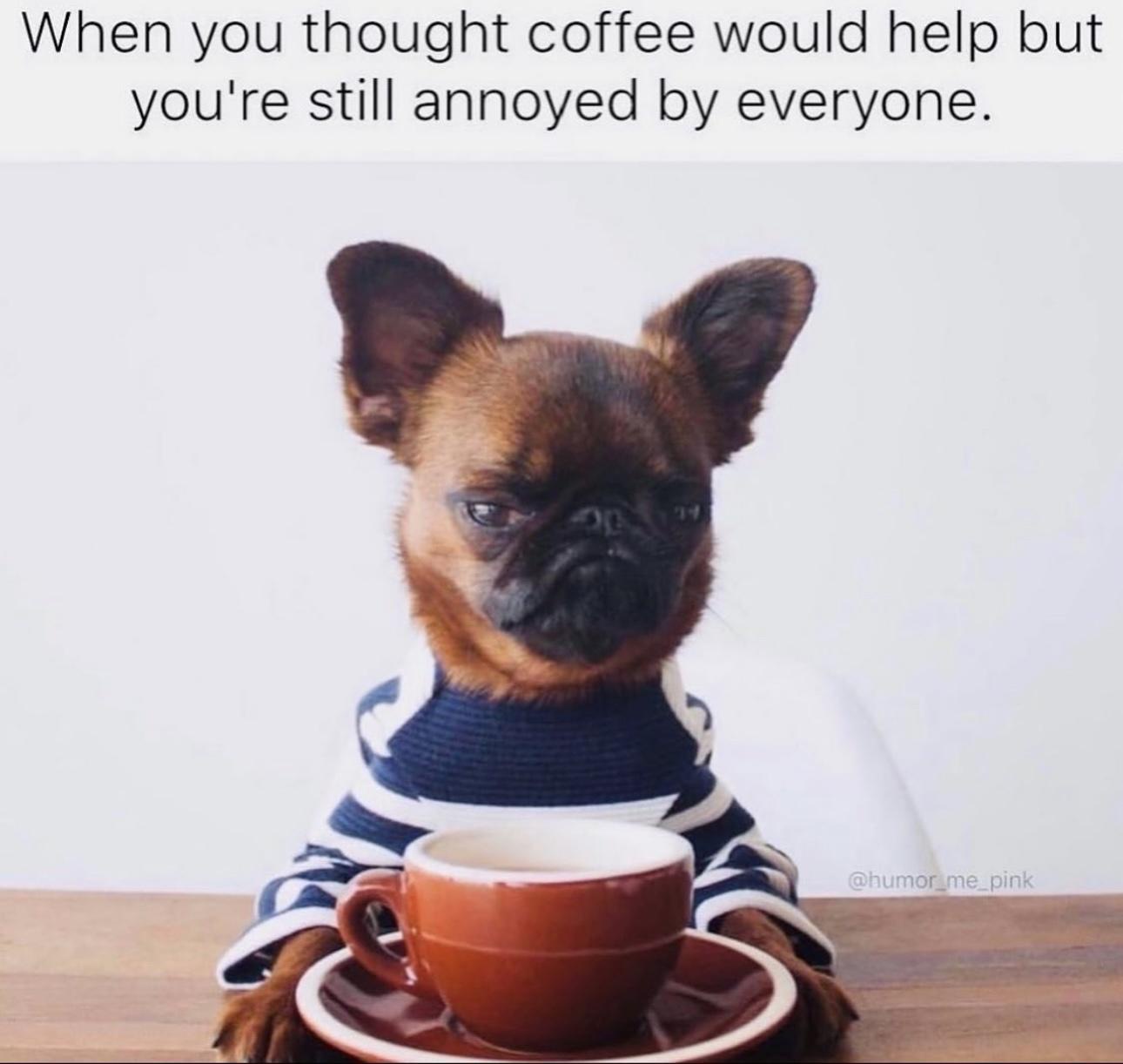 Coffee-help.jpeg