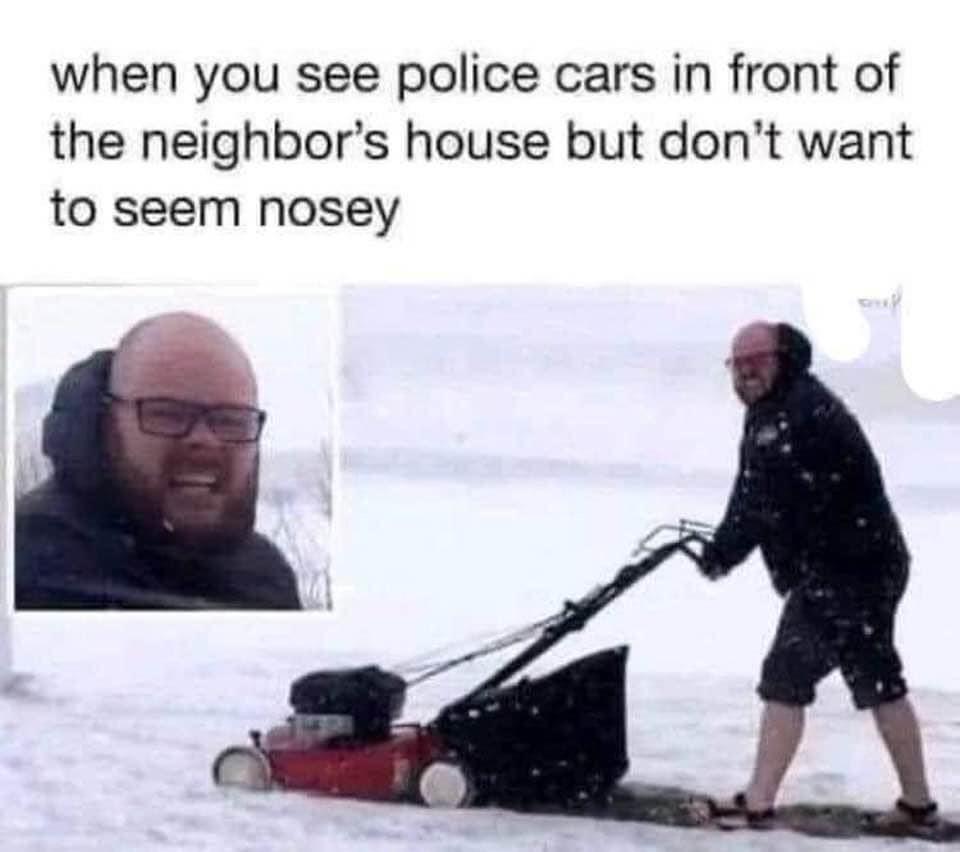 police-cars.jpeg