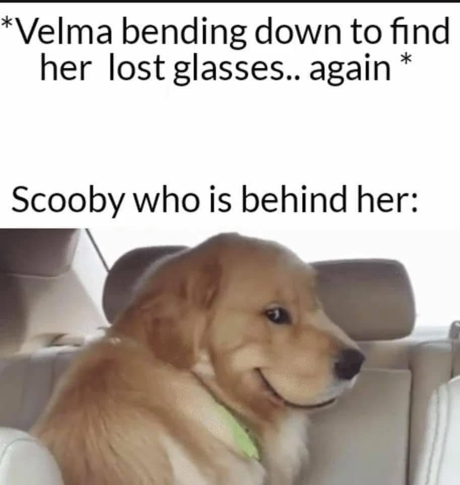 Scooby1.jpeg
