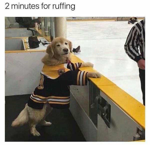 ruffing.jpeg
