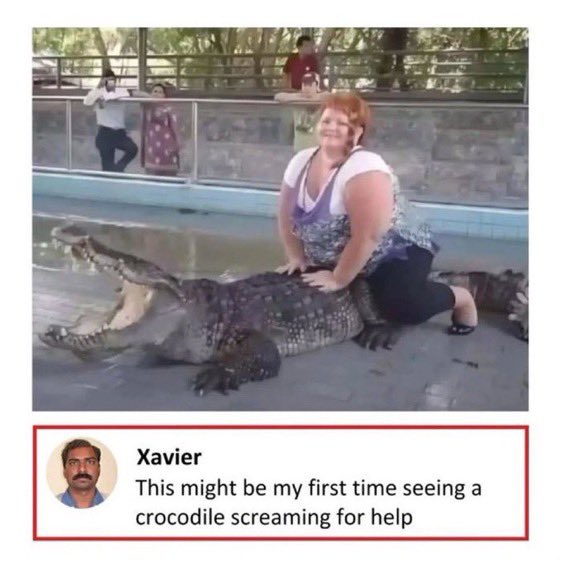 Crocodile.jpeg