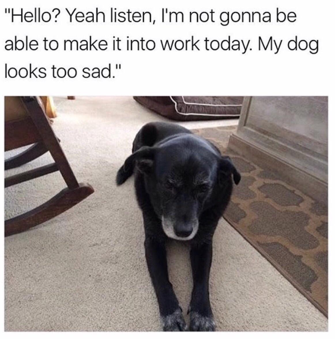 dog-sad.jpeg