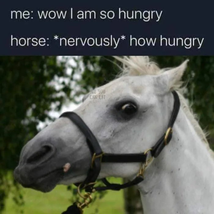 hungry.jpeg