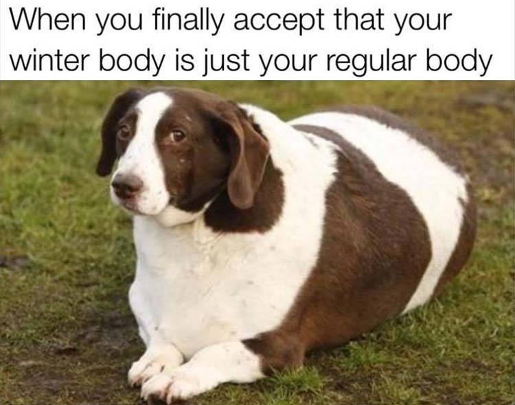 regular-body.jpeg
