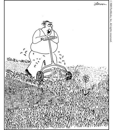 TheFarSide1.png