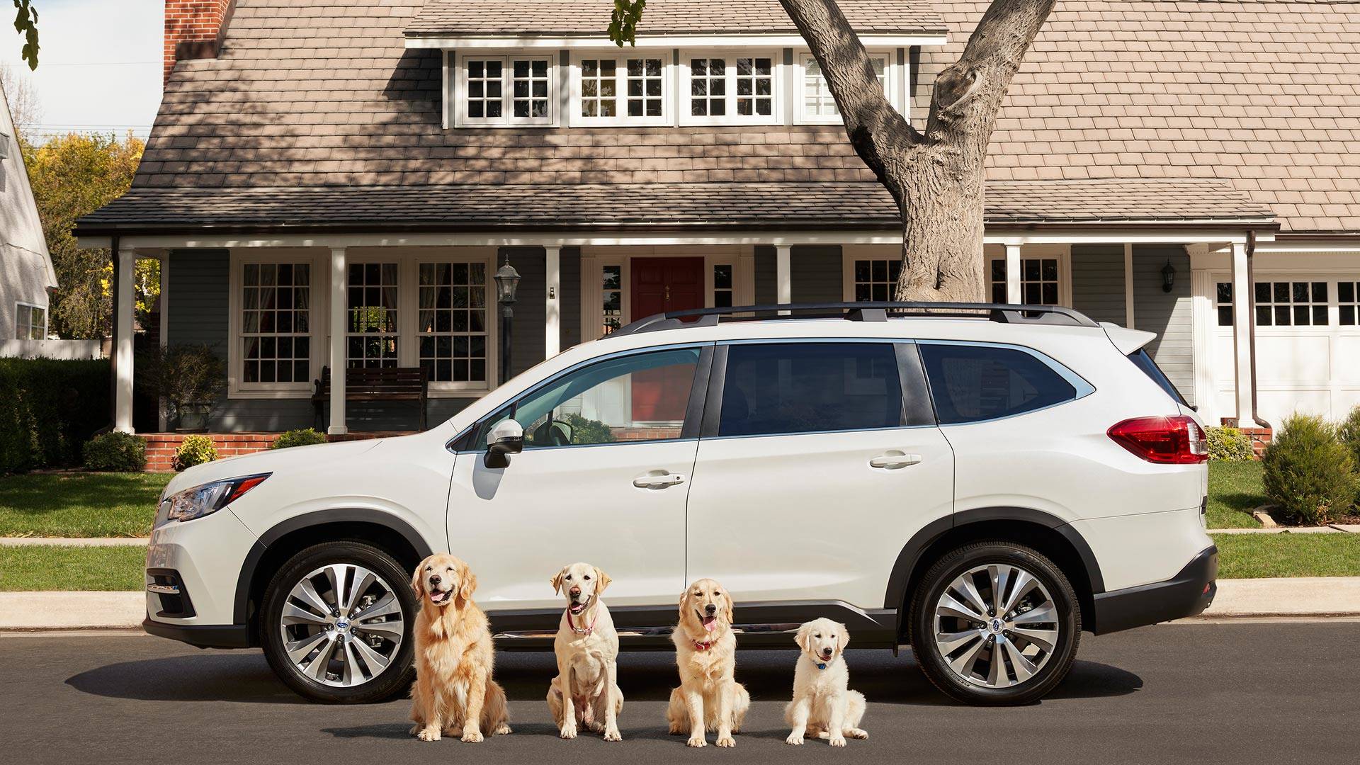 subaru-ascent-brings-back-the-barkleys-dog-family-commercials_1-2000206445.jpg