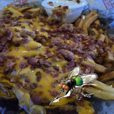 oie_animation (14).gif