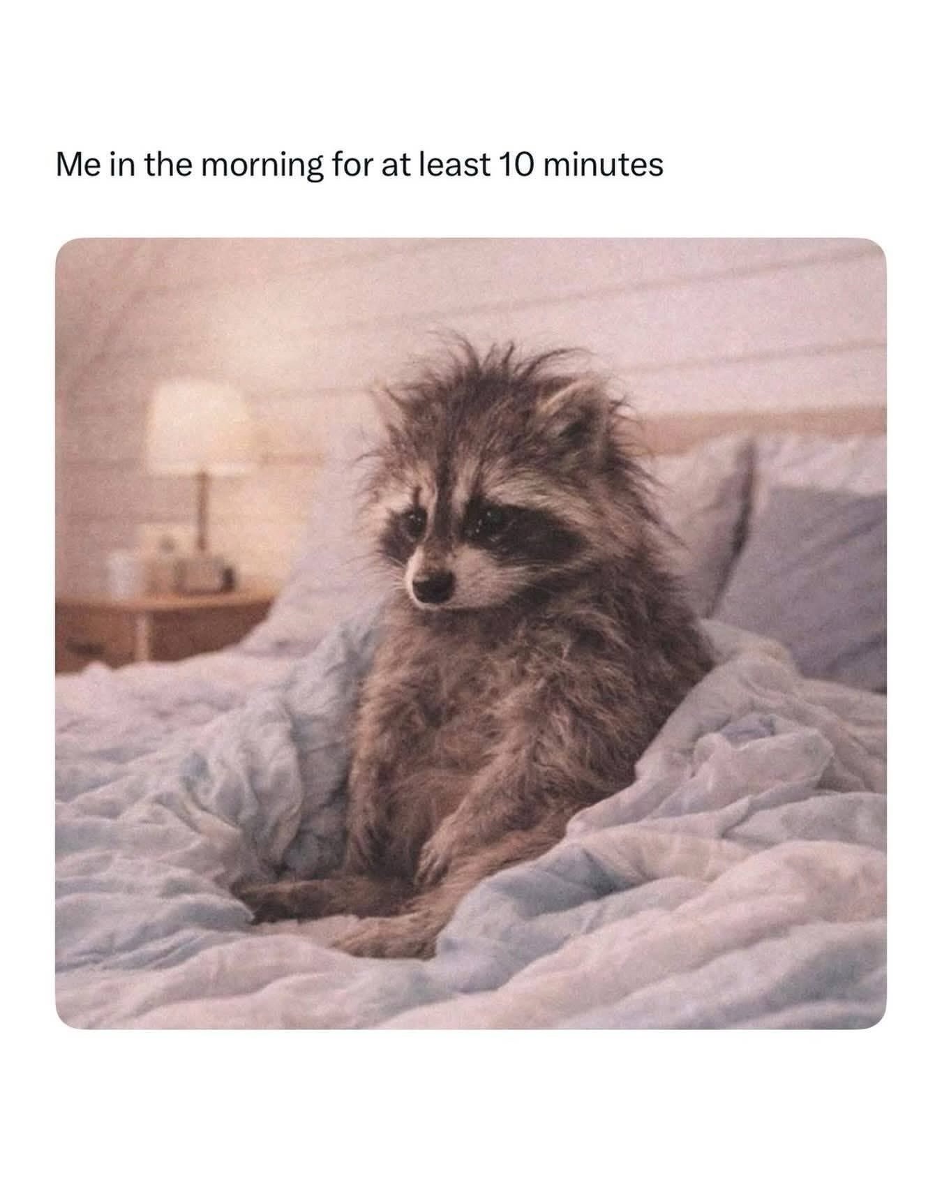 me-in-the-morning.jpeg