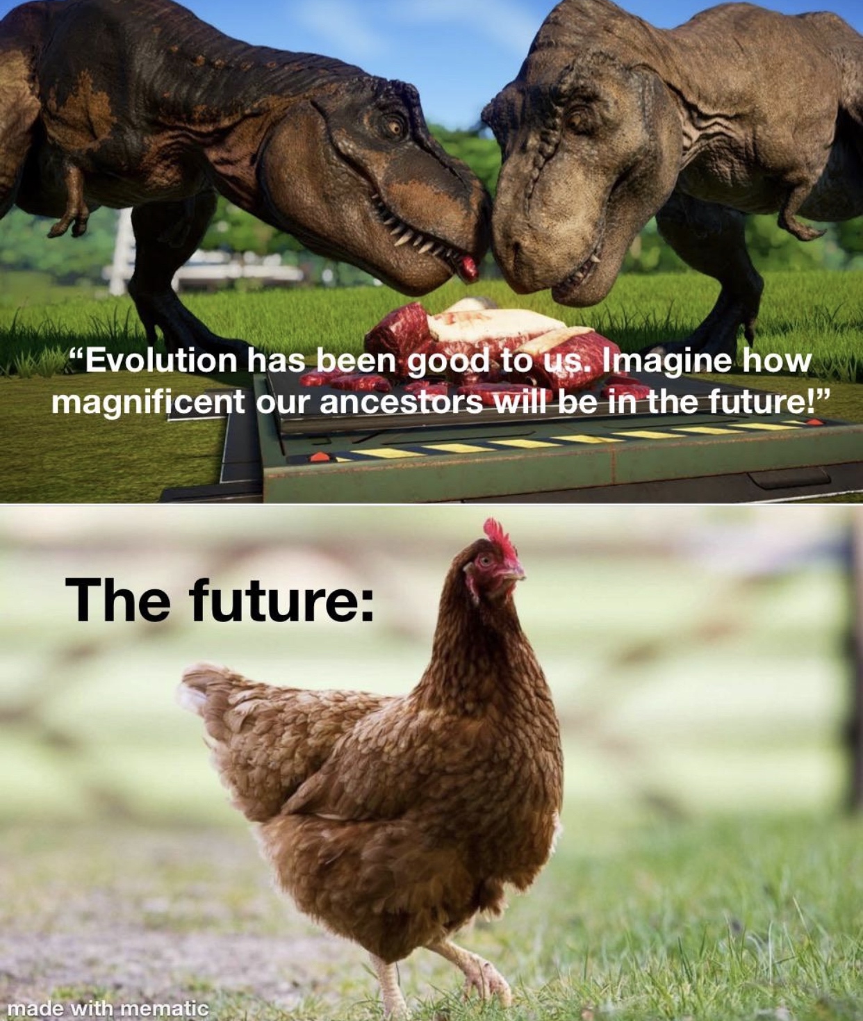 Evolution.jpeg