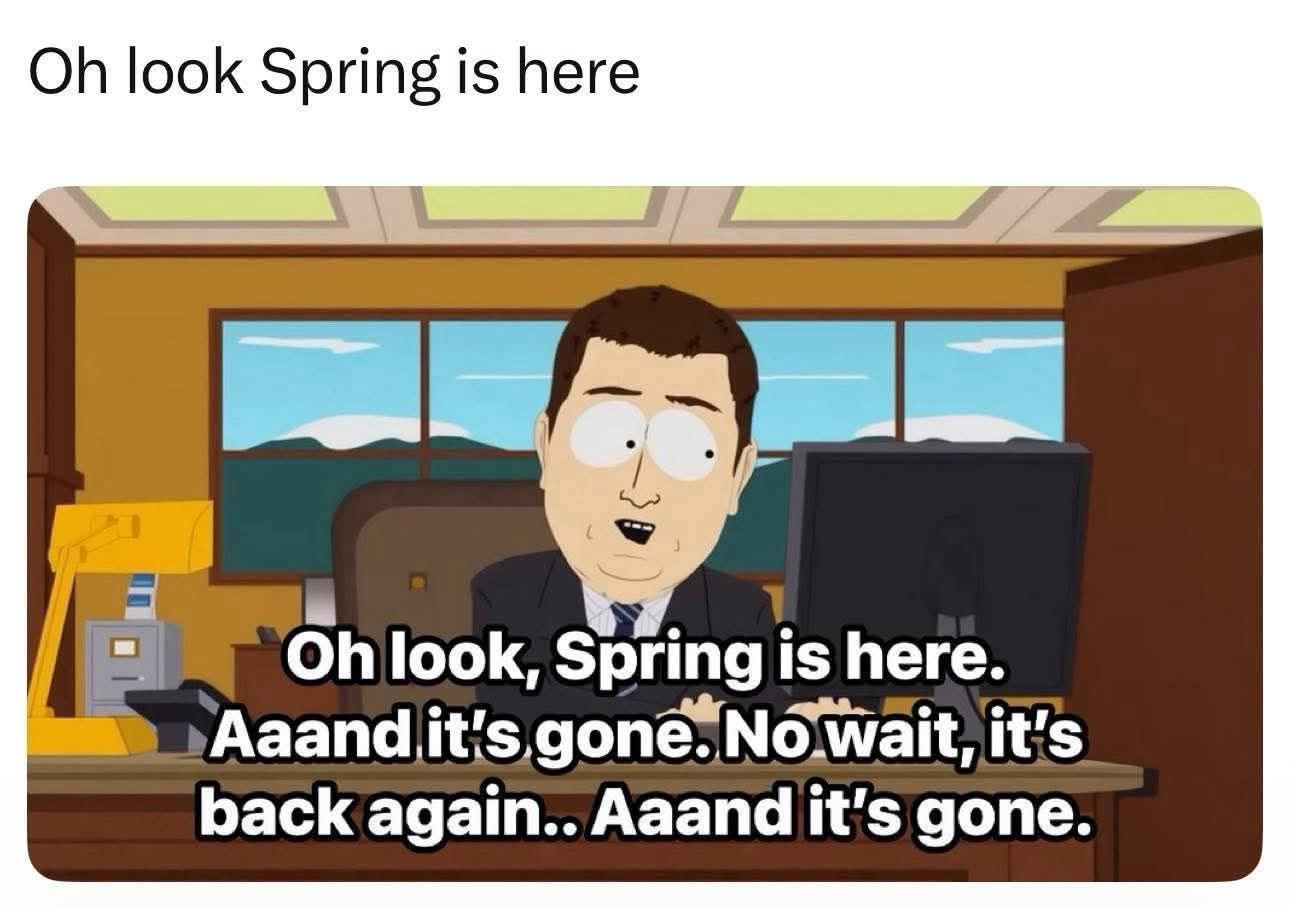 Look-sprin-is-here.jpeg