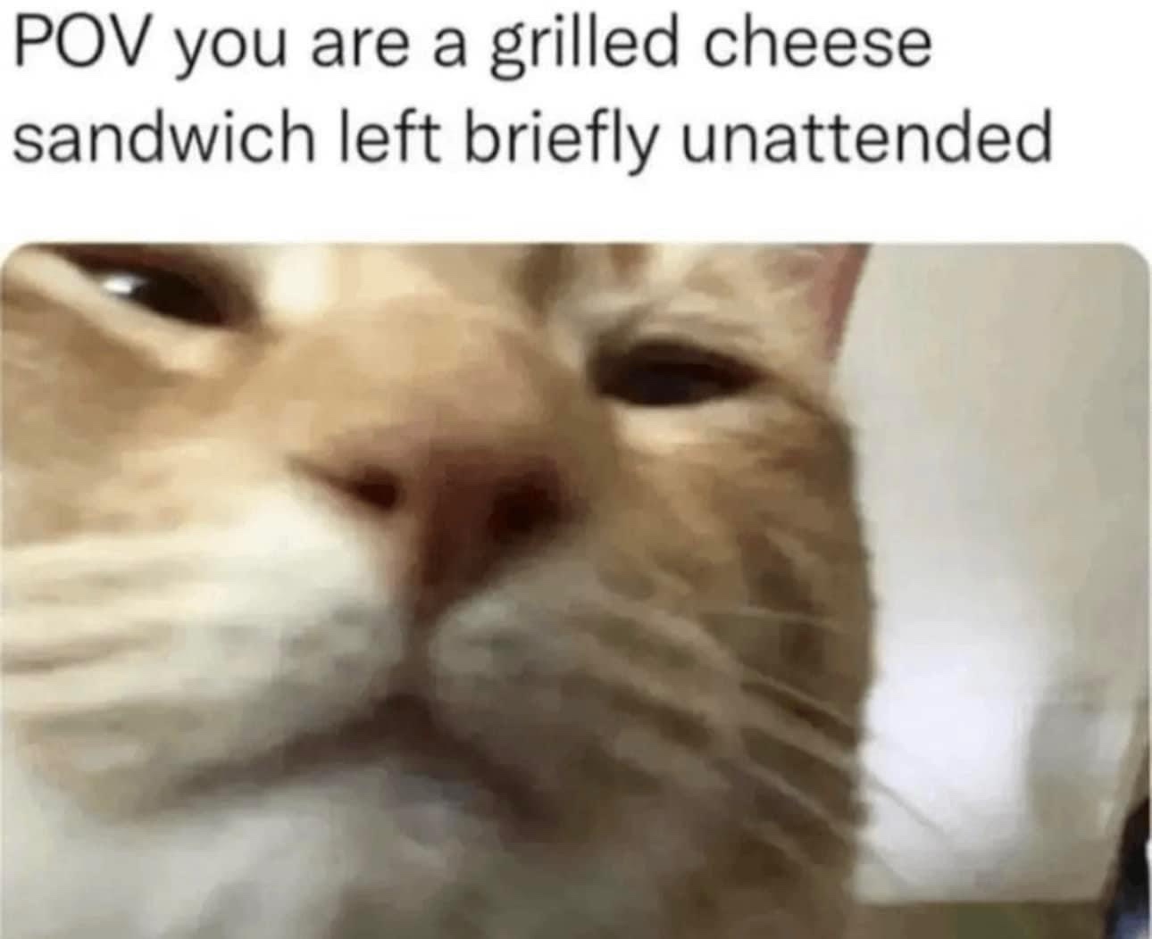 Grilled-cheese.jpeg
