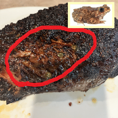 oie_animation (20).gif