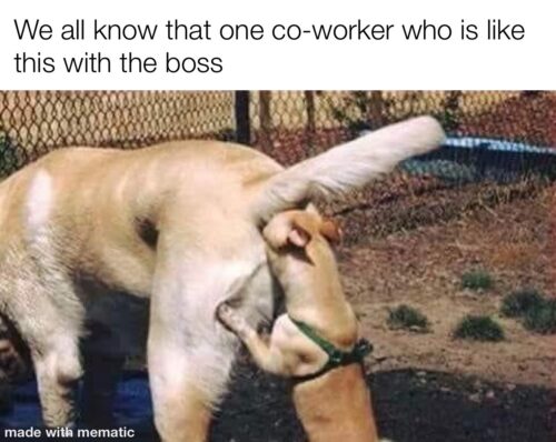 some-co-workers.jpg