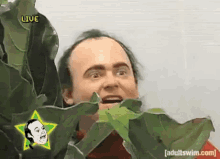 IMG_6638.gif