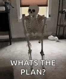image.gif